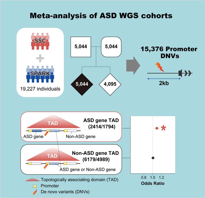 ASD Whole Genome