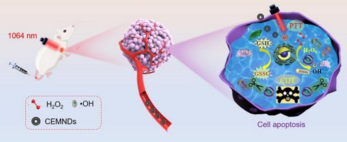 Carbon-encapsulated Magnetite Nanodonut Suggested for Synergistic Cancer Therapy