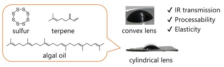 Stay Focused: Algae-Inspired Polymers Light the Way for Enhanced Night Vision