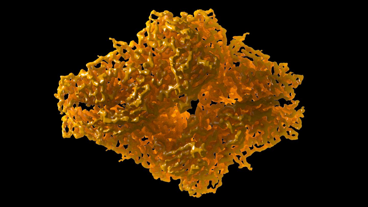 3.2 Resolution Cryo-Em Structure of &#914;-Galactosidase (2014)