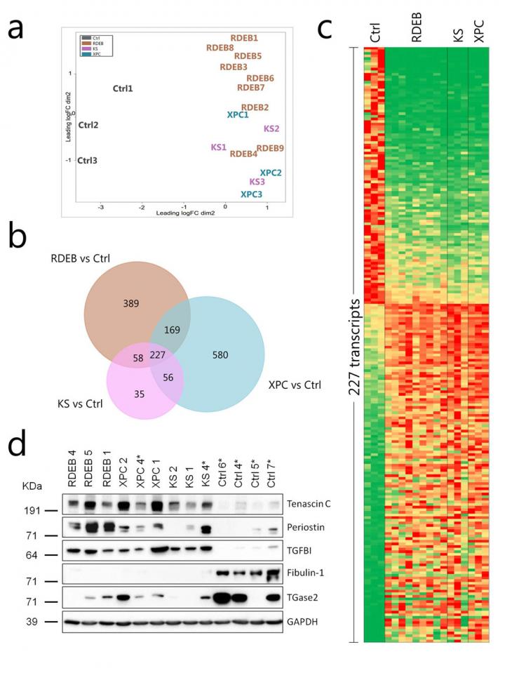 A common signature has been discovere EurekAlert!