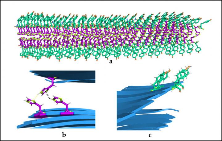 Nanoenzymes Designed with a Unique Combination of Structure and Functions