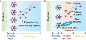 EDL structures of K-H2O and K-H2O-EDTA interfaces