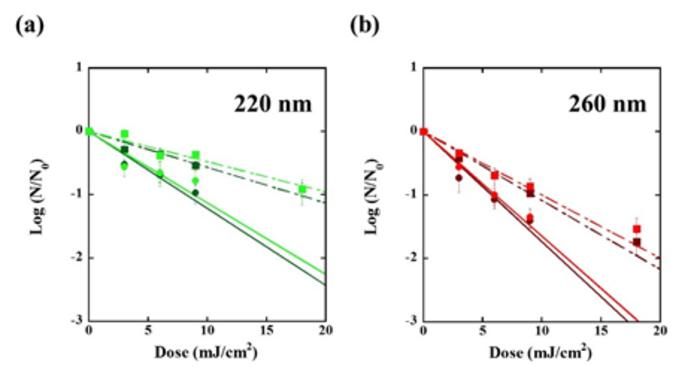 Inactivation of SARS-CoV-2 BA.2 and BA.5 at 220 nm and 260 nm as a function of UV dose (mJ/cm2)
