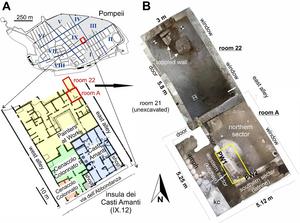 Pompeii excavation location