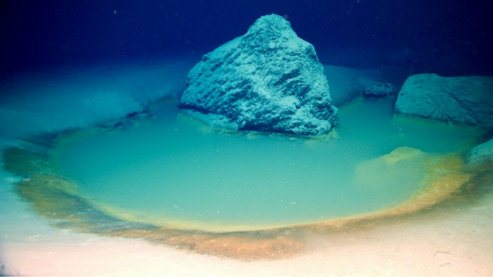 Rare Deep-Sea Brine Pools Discovered in Red Sea