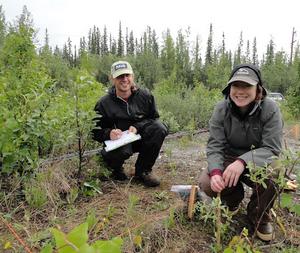 Studying Phytoremediation of a Petroleum-Contaminated Site