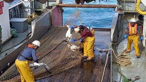 Reducing marine megafauna bycatch