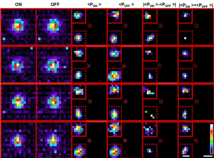 Transformation of cumulative p image eurekalert science news releases