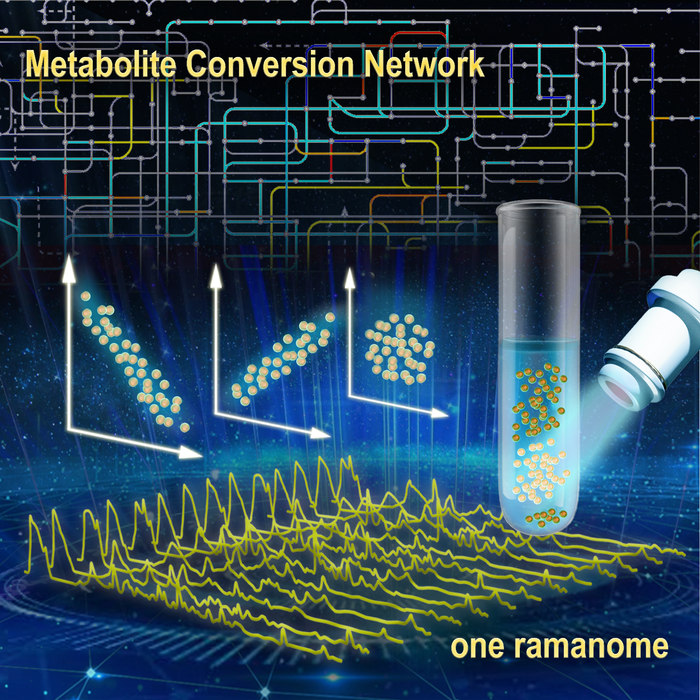 New ramanome technology unveils metabolite conversion network from single cells