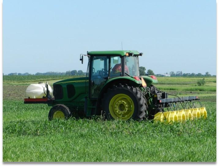 Protect Soil from Erosion