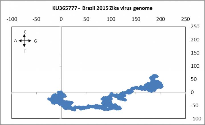 Zika Virus Genome in Brazil