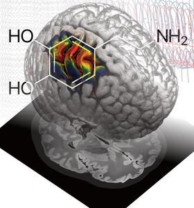 Machine learning helps to decode signals in the sensorimotor cortex