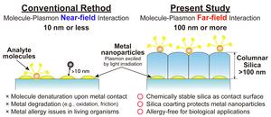 Short-range interactions between molecules and plasmons as previously known, compared to the long-range interactions revealed in this study.