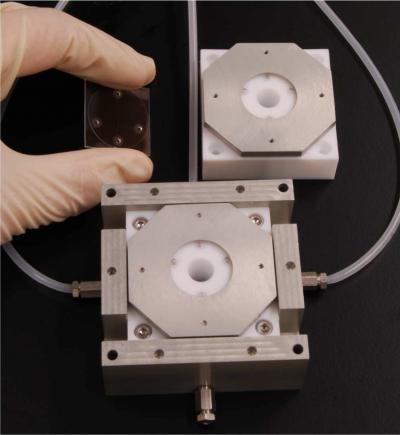 Microfluidic Mount Devised to Monitor a Denatured Protein as It Folds