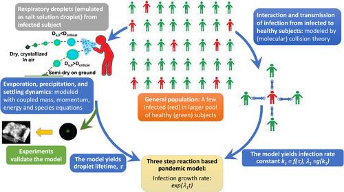 A flow-diagram outlining the interconnections of the model