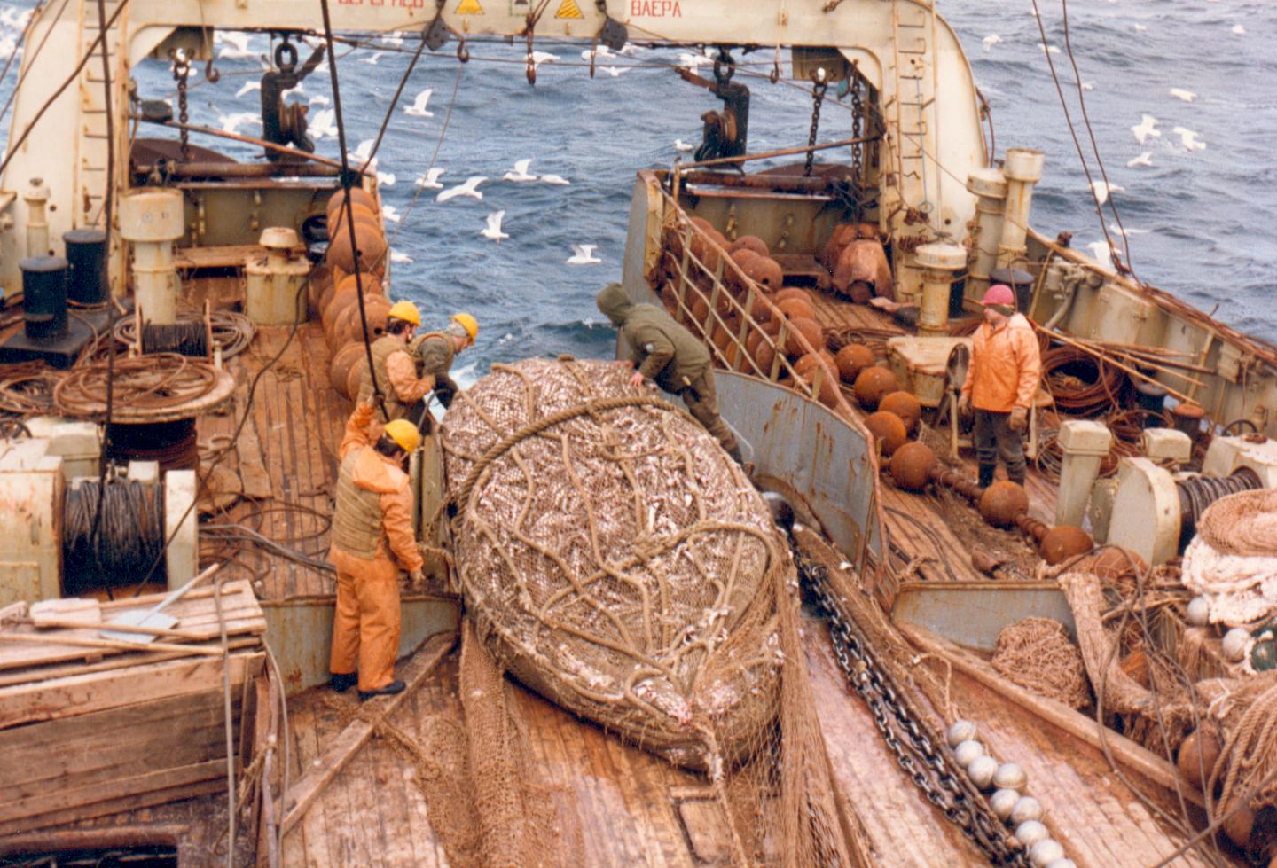Fishing Vessel in Canadian Waters