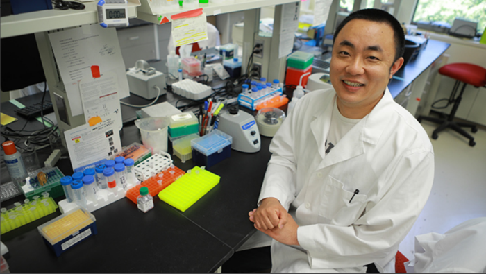 Gut Bacteria Can Make Blood Pressure Medication Less Effective