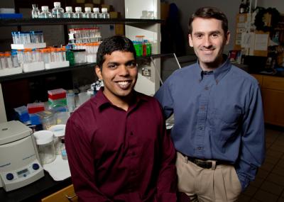 Scott Silverman and Jagadeeswaran Chandrasekar, University of Illinois at Urbana-Champaign  