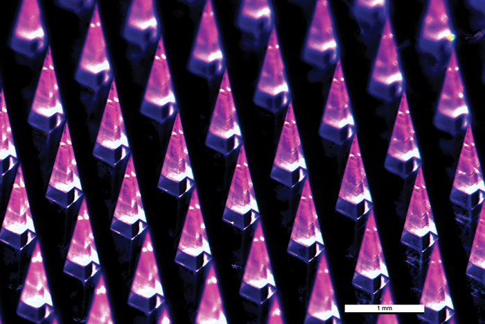 Vaccine Printer Microneedles