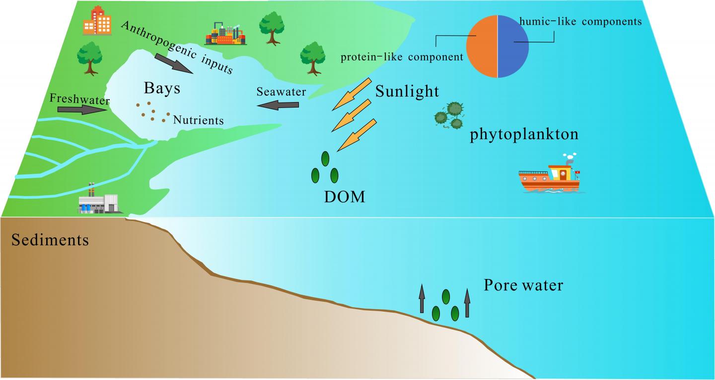 the-molecular-characteristics-of-the-dissolved-organic-matter-pool-in-a