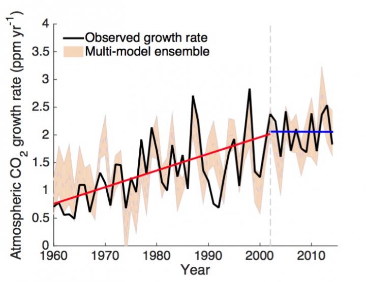 Study: Carbon-Hungry Plants Impede Growth Rate of Atmospheric CO2 