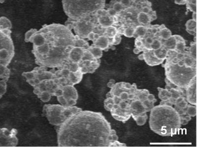 Electronic Micrograph