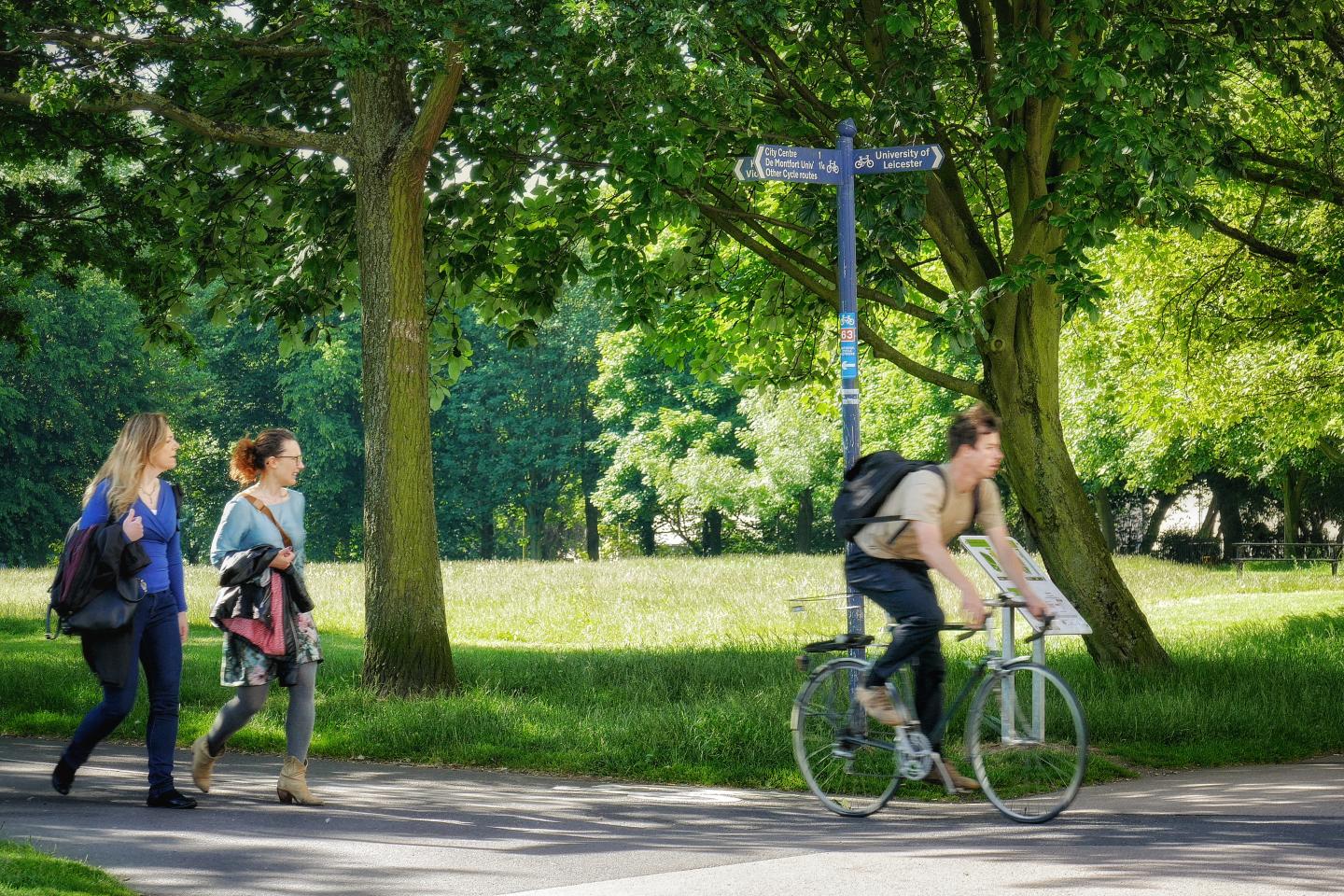 Trees in Victoria Park, Leicester
