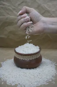 Rice storage conditions guarantee its optimal quality and texture for later consumption