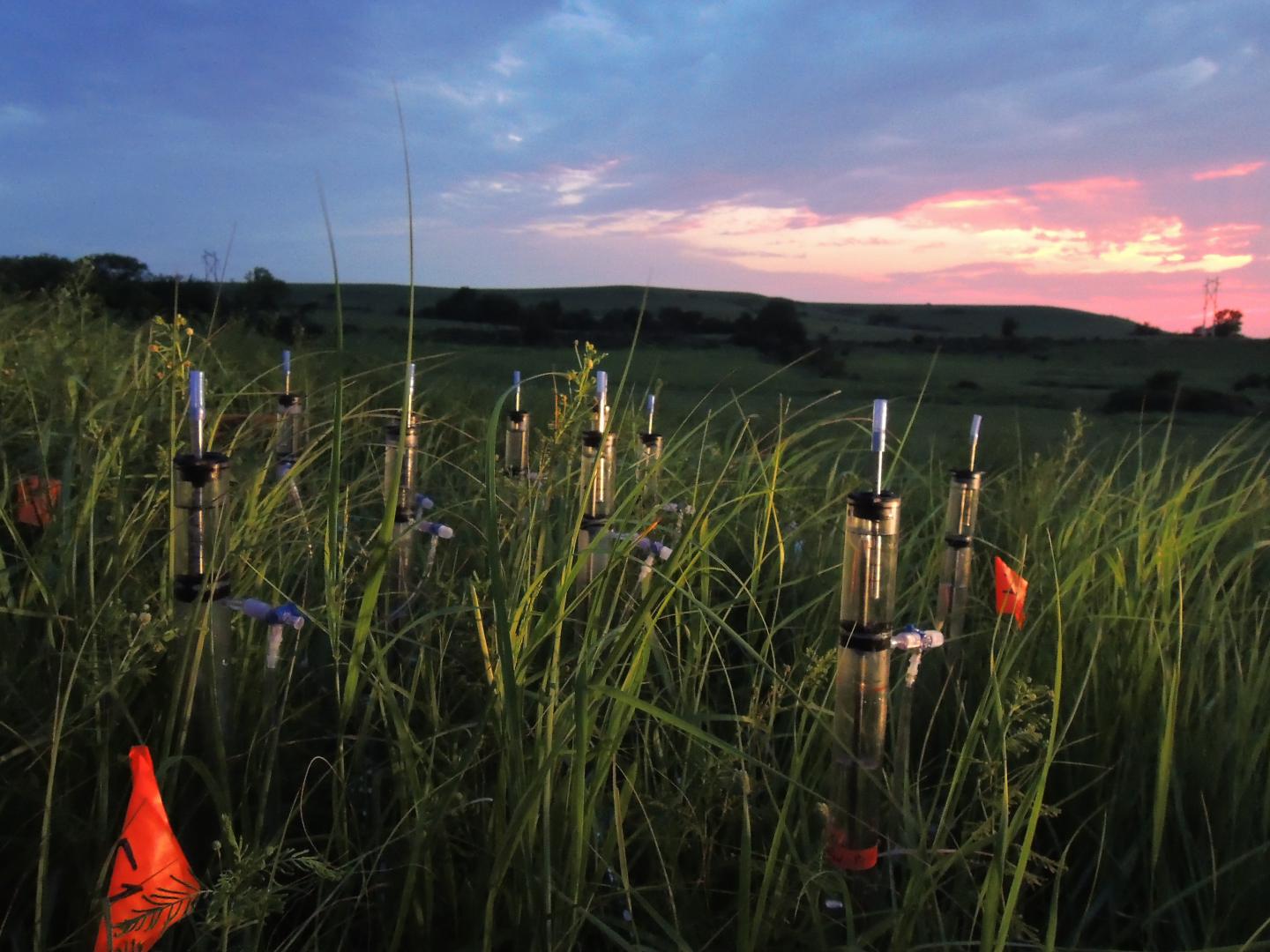 Prairie Soil Experiment