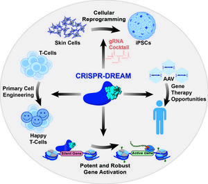 research schematic