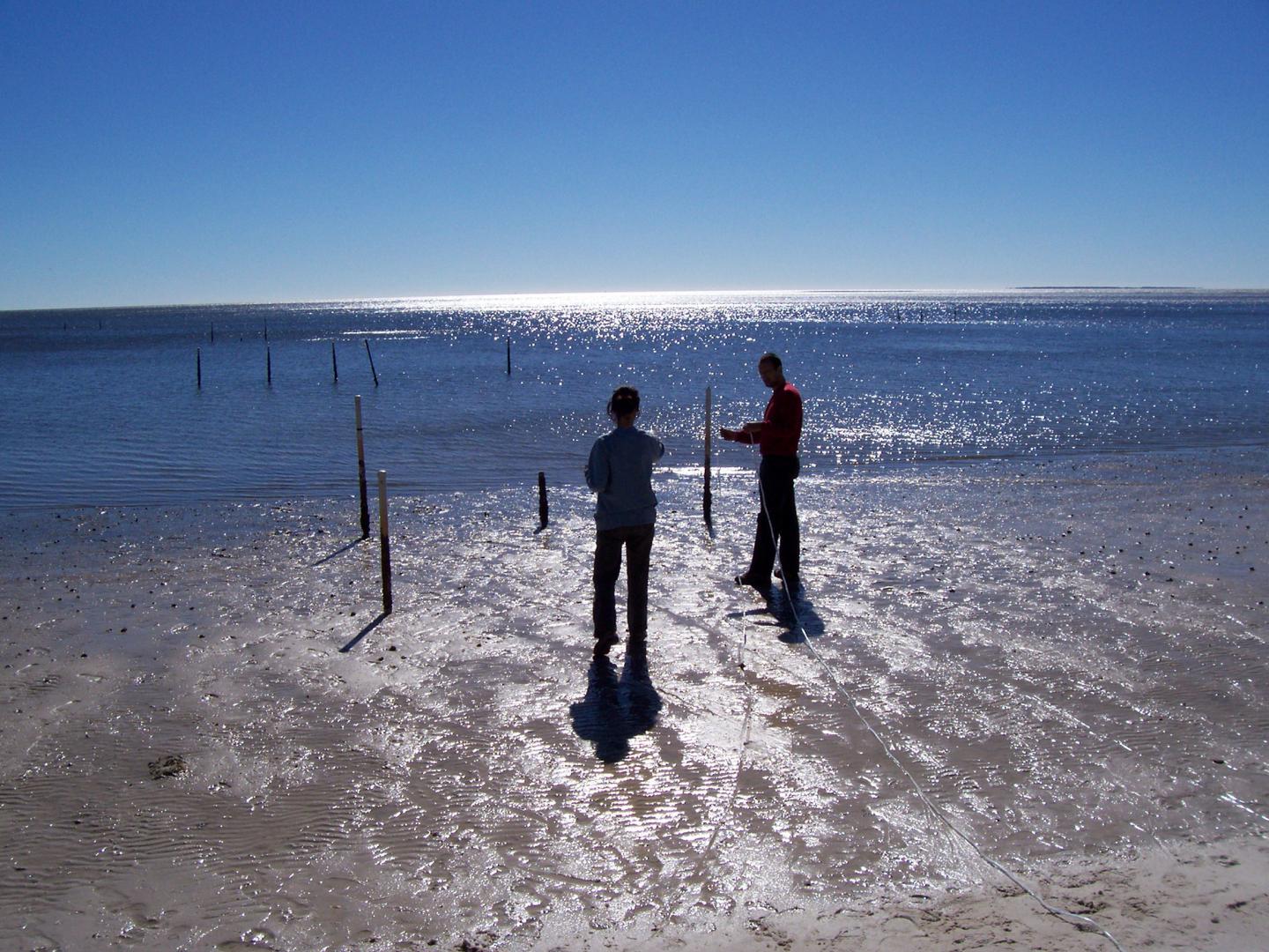 Groundwater discharges to the ocean