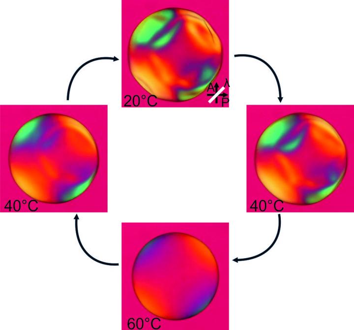 New Method Inverts the Self-Assembly of Liquid Crystals