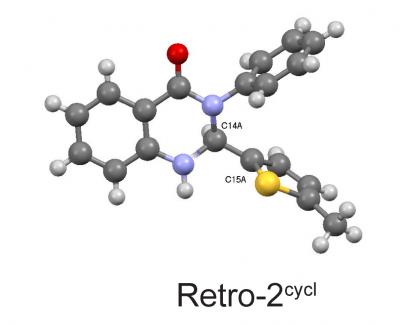 Retro-2 Fights Polyomavirus