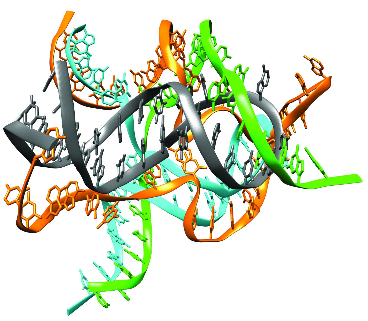 An RNA ligase ribozyme assembled from three RNA strands, each synthesized by a polymerase ribozyme.