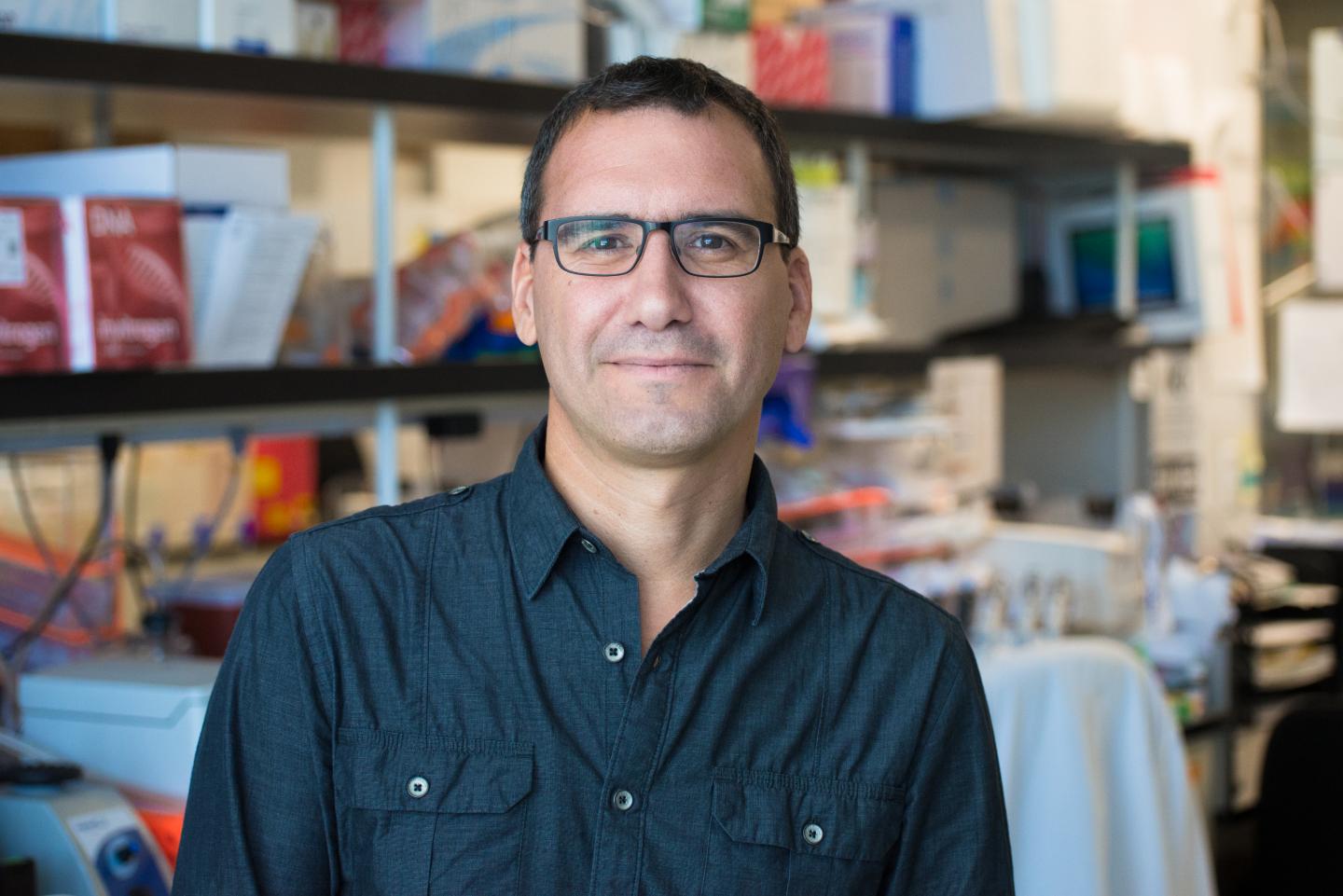 Maximiliano D'Angelo, Sanford Burnham Prebys Medical Discovery Institute