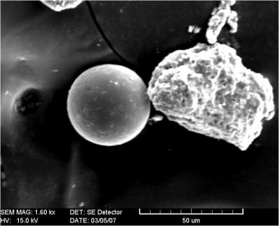 Housen Magpart (1 of 2)