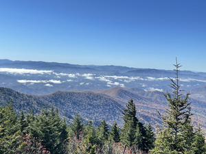 A View from the Great Smoky Mountains National Park