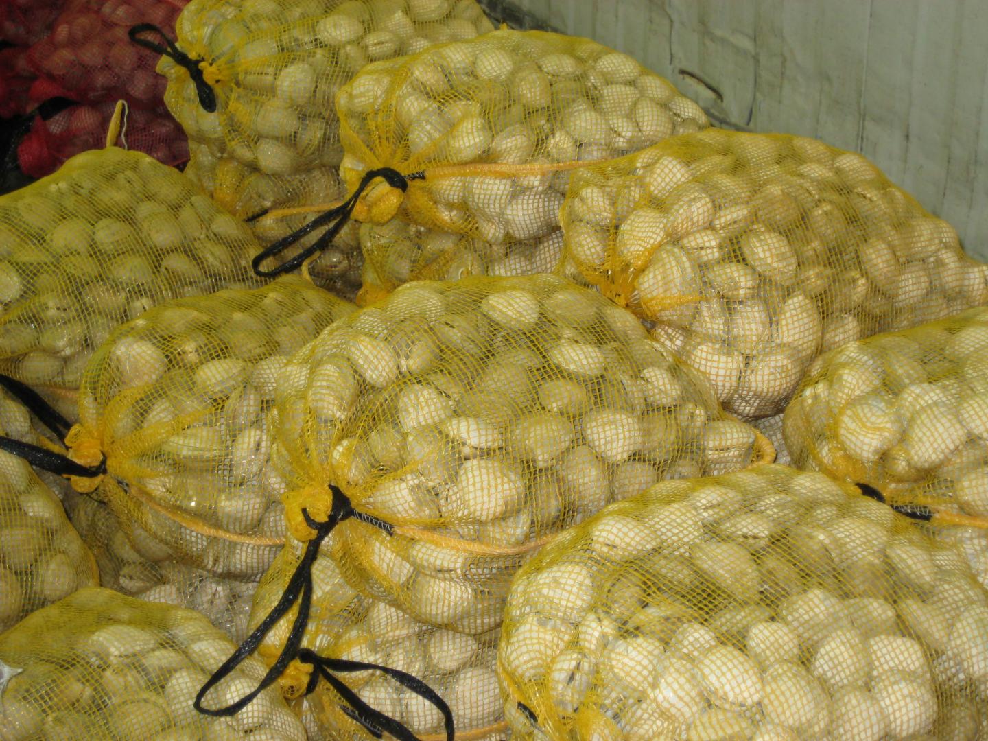 Clam Bags