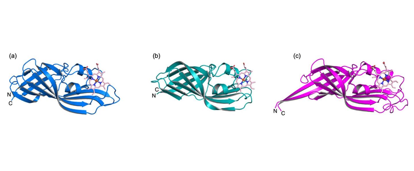 Crystal Structures