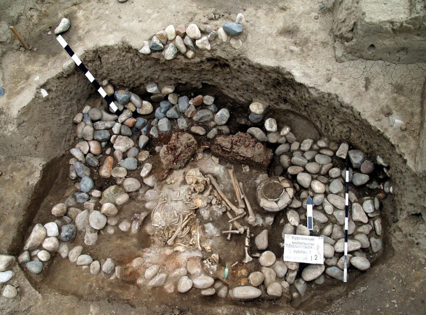 A tomb of the Maykop culture from the burial mound Marinsaya 5