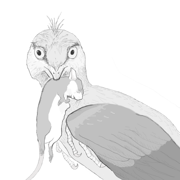 Life reconstruction of Microraptor