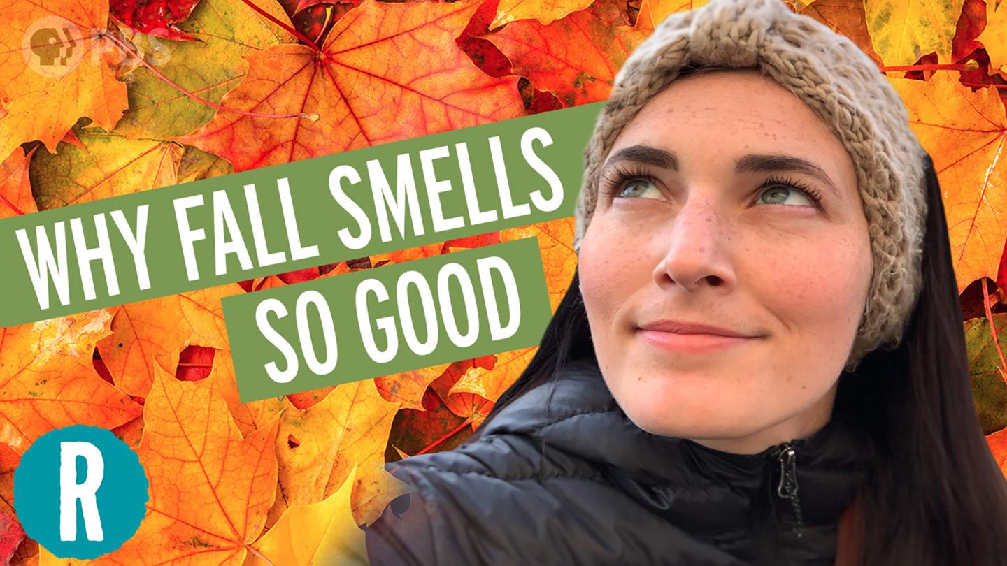 Why Do We Love The Smell of Fall? (video)