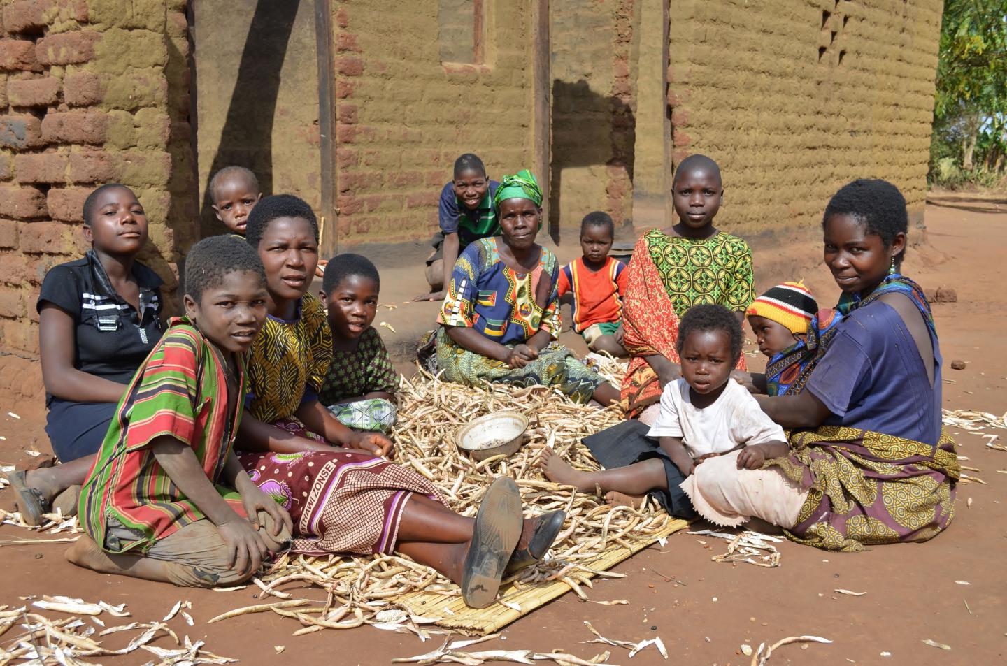 Smallholder Farmers In Malawi Peeling Peas