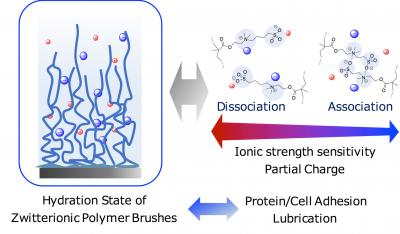 Systematically Studying Slippery Surfaces