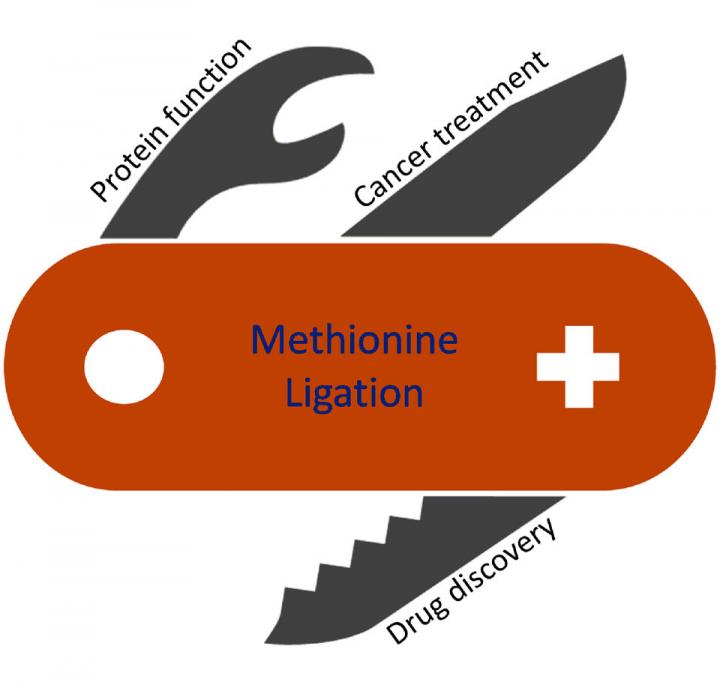 ReACT Swiss Army Knife Illustration