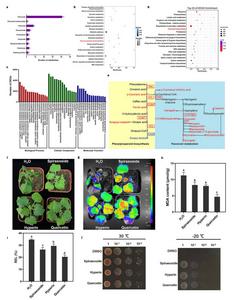 Cold acclimation stimulated flavonoid production in jojoba.