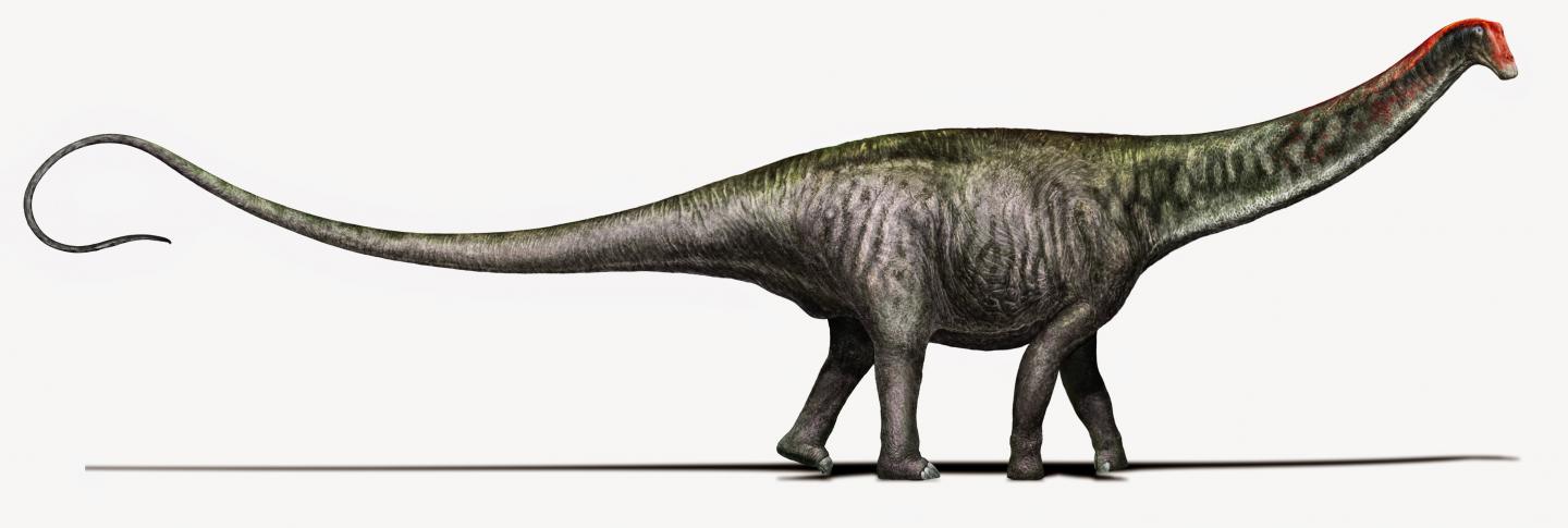 <I>Brontosaurus</I>