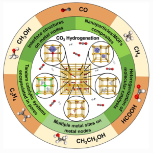 Carbon dioxide conversion to useful products