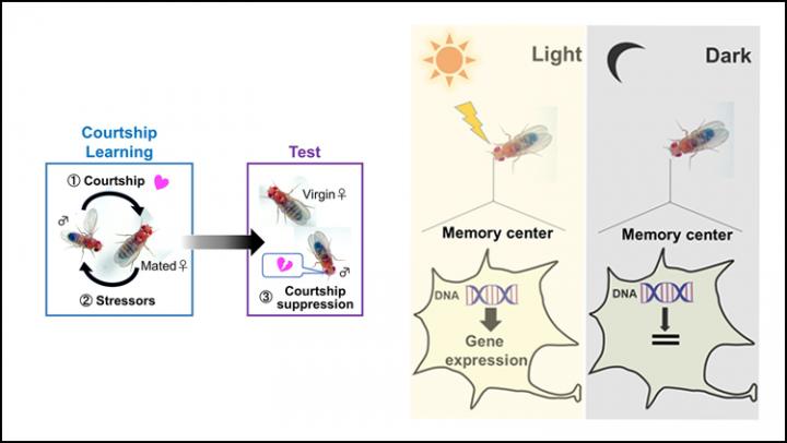 Using Light to Learn